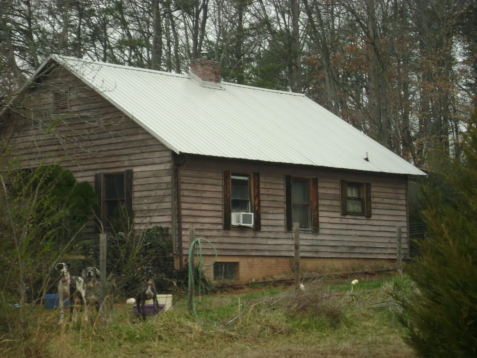 White metal roof on an old wood sided farmhouse, from a Metal Roof Installation job in Island Park